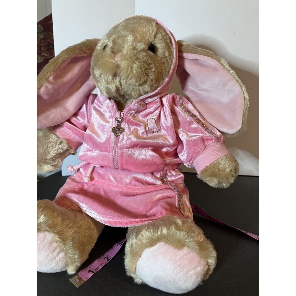 Build-A-Bear Tan Bunny Floppy Ears w/Pink Velvet  Rhinestone Hoodie Skirt Outfit - Picture 10 of 16